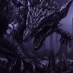 Meet your Posher, Collin